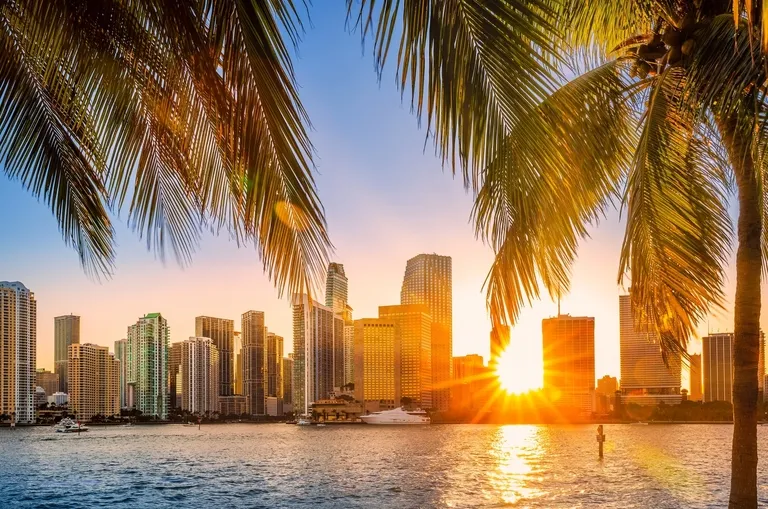 Sunset over a city skyline with high-rise buildings, water foreground, and palm trees.