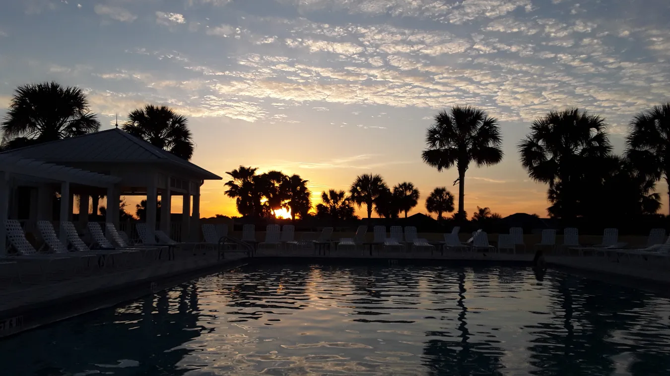 Outdoor swimming pool at sunset with palm trees and lounge chairs surrounding it.